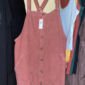 Pink overall dress!!! American Eagle! NWT